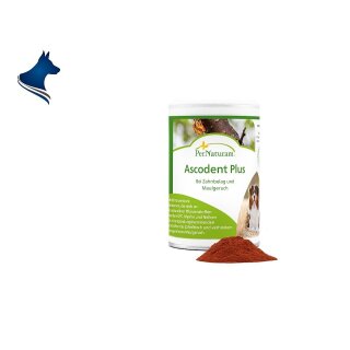 Ascodent Plus (100g)