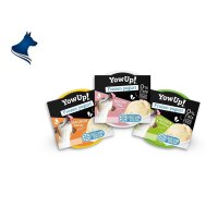 YowUp Frozen Yoghurt (110g)