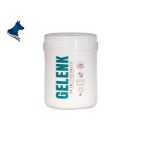 Gelenk Schutzengel - Kräuter Vitalpilz Mischung (100g)