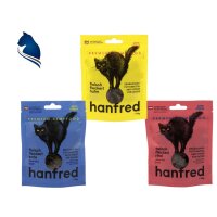 hanf Fleisch Fleckerl für Katzen (45g)